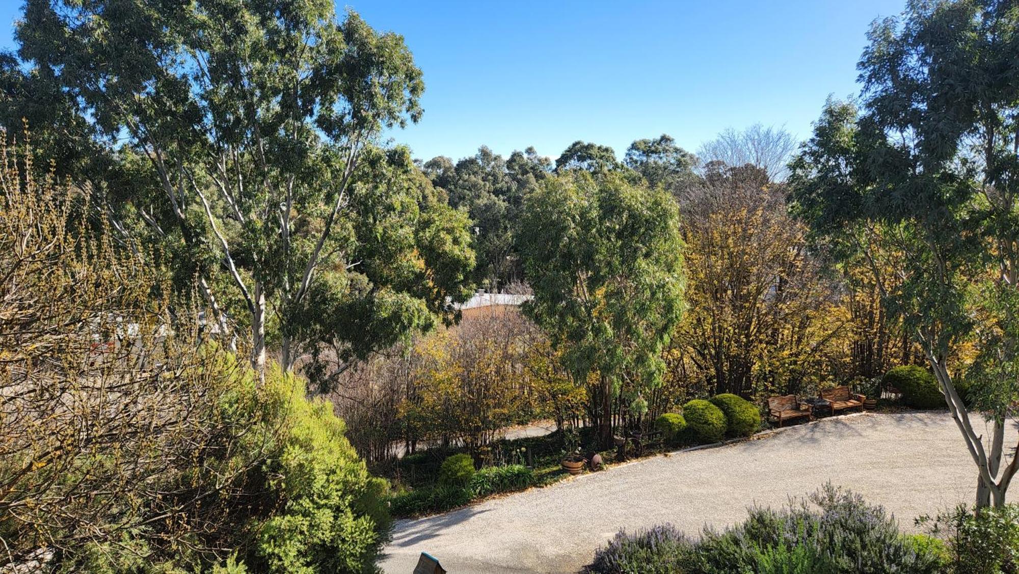 Riesling Trail & Clare Valley Cottages Quarto foto