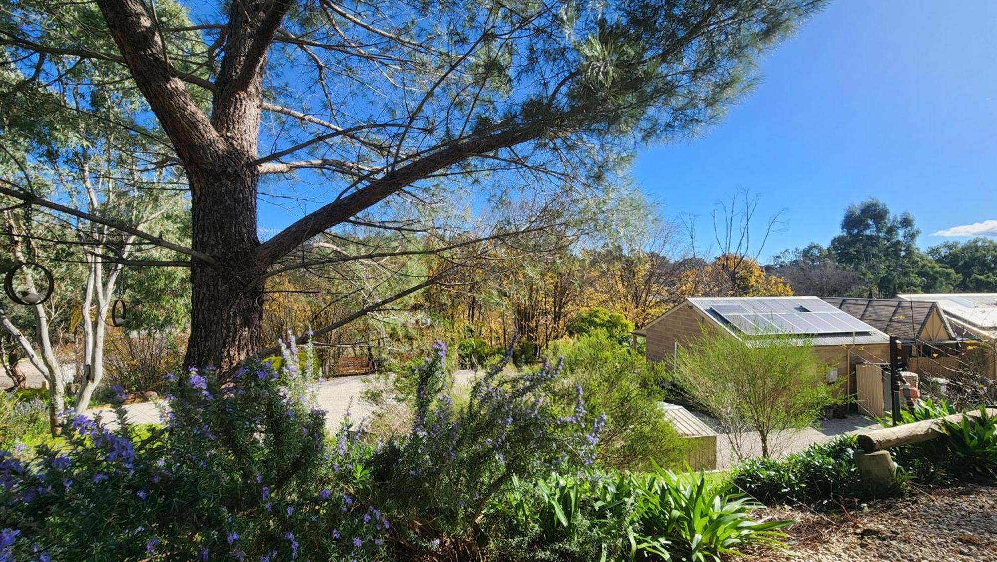 Riesling Trail & Clare Valley Cottages Quarto foto