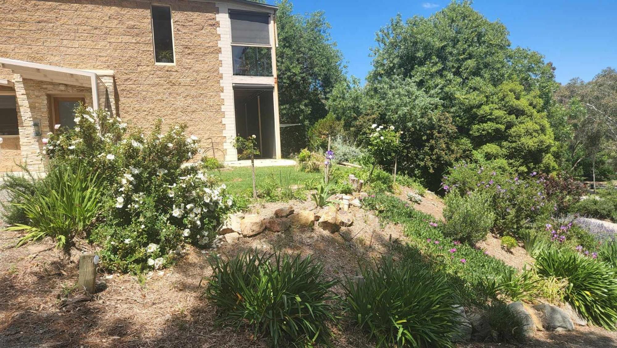 Riesling Trail & Clare Valley Cottages Quarto foto