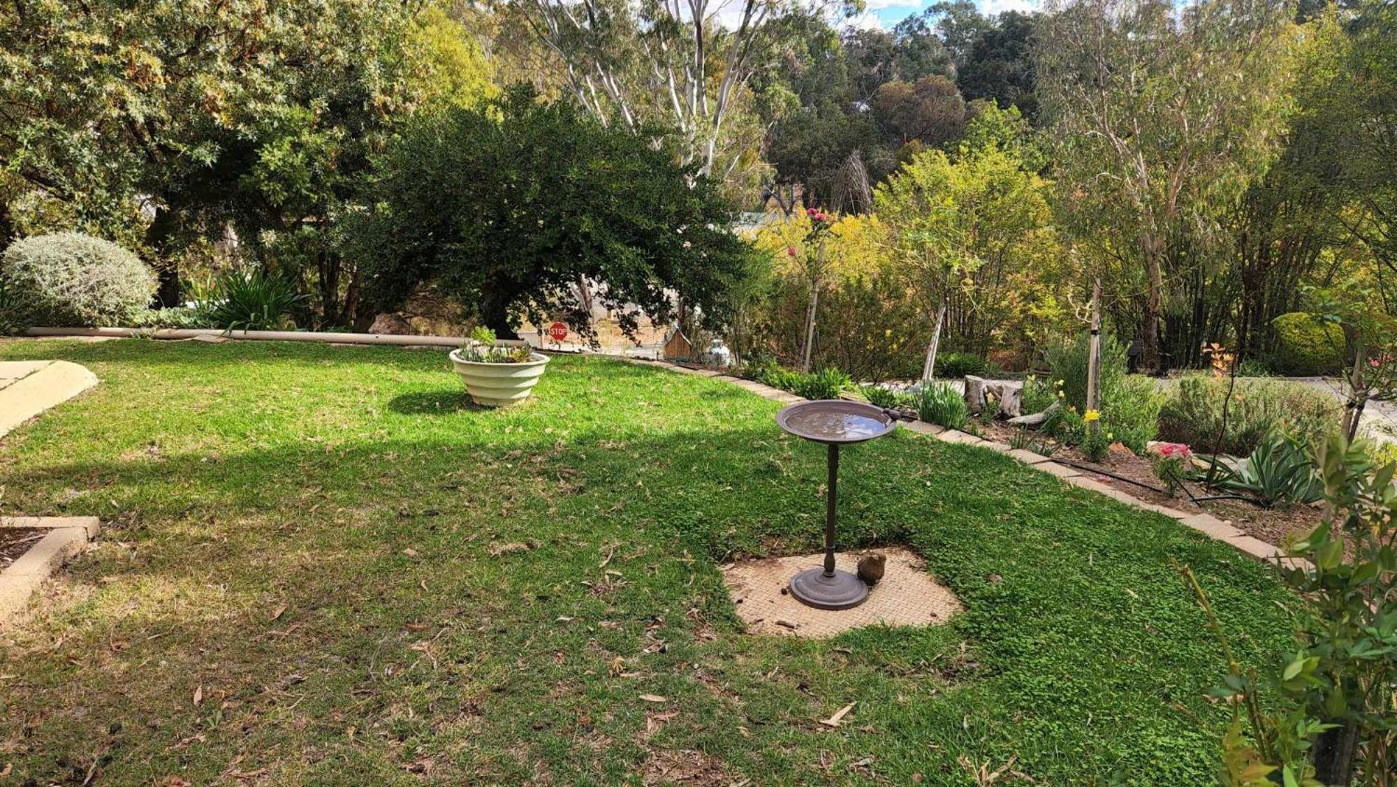 Riesling Trail & Clare Valley Cottages Quarto foto